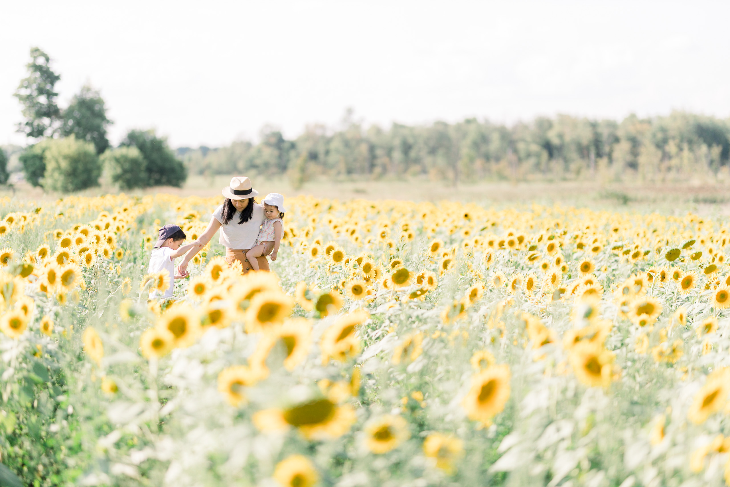 Mom and kids in a sunflower farm - Ericka Ana Photography